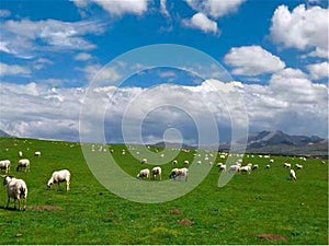 Hulunbeier Grassland is located in the northeast of Inner Mongolia Autonomous Region, west of Daxing`anling Mountain, and named a photo
